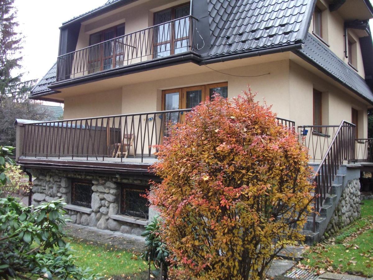 Willa Sezamek Blisko Szlakow I Centrum Zakopane Exteriör bild